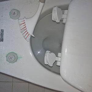 Cleaning Toilet Detail Crevices